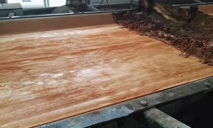 Vacuum Belt Filter Cloth Wrinkles Causes